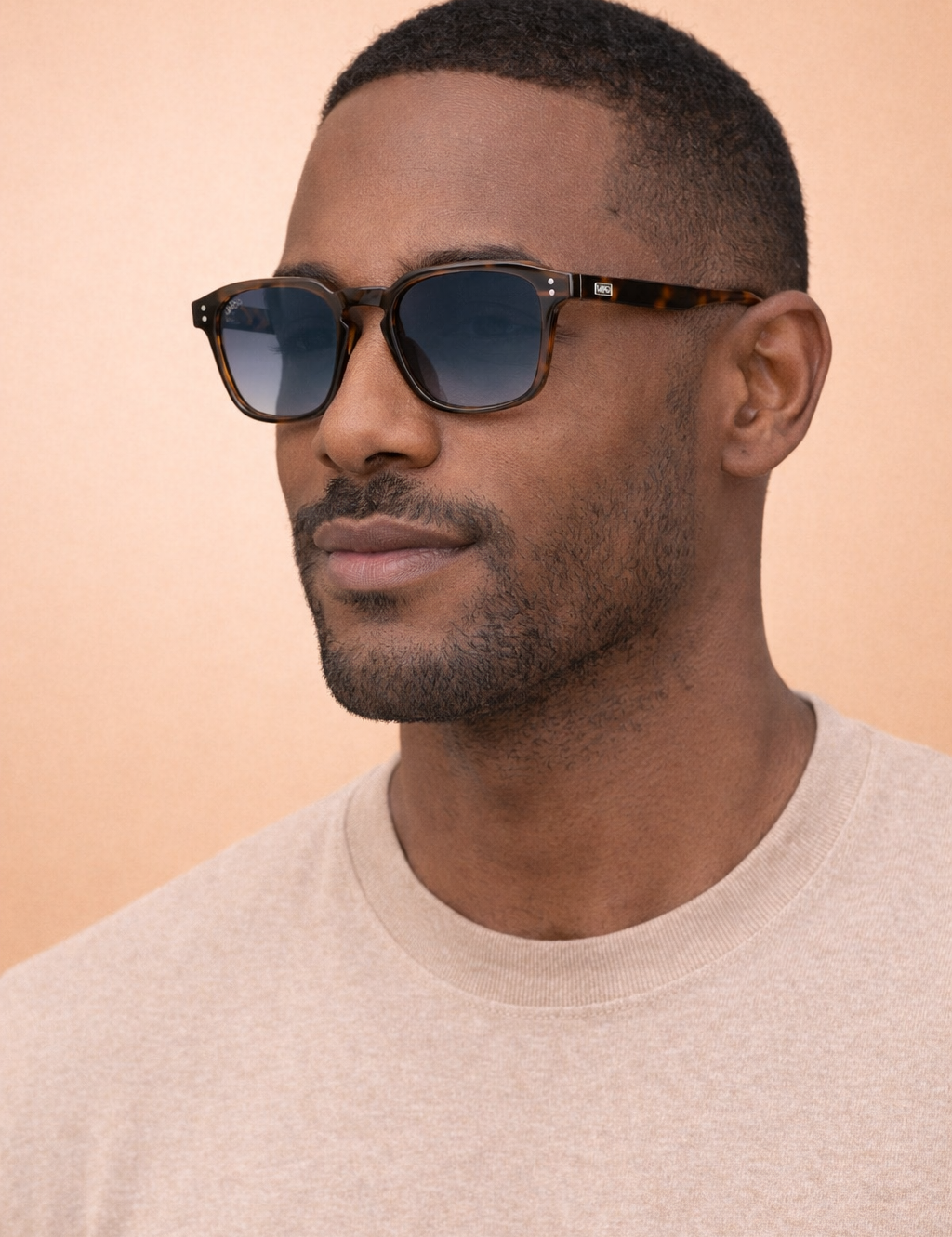 Sunglasses - The Francis