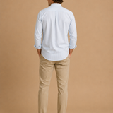 Cotton Oxford Sport Button Down Shirt In Collins Stripe